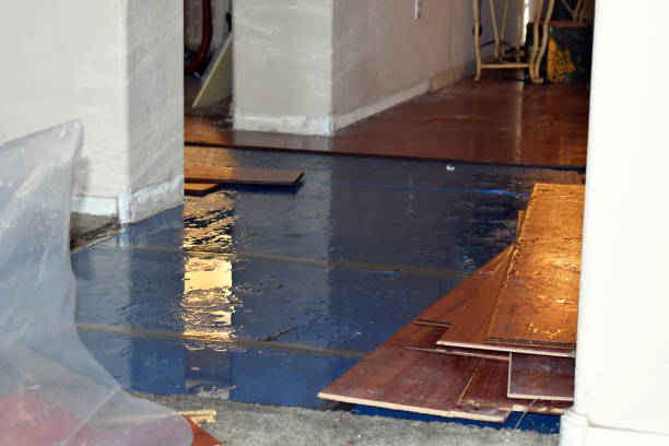 Professional Water Damage technician working in North Benton, OH